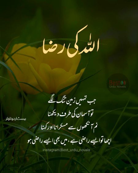 Islamic Quotes image