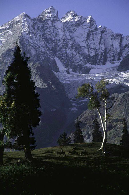 Beautiful Nature image
