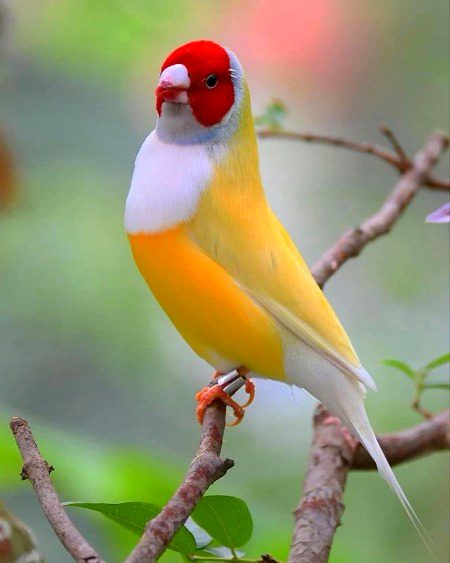 Beautiful Nature image