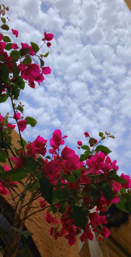 Beautiful Nature image