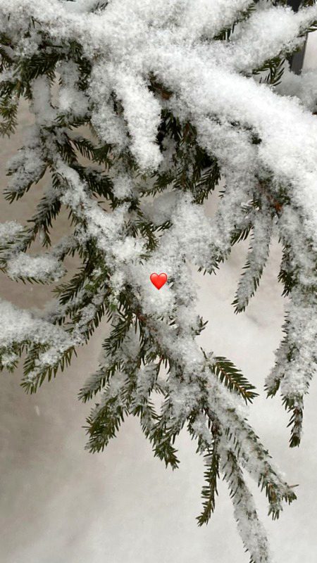 Beautiful Nature image