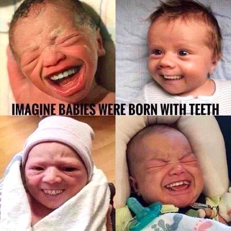 Memes & Satire image