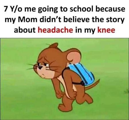 Memes & Satire image