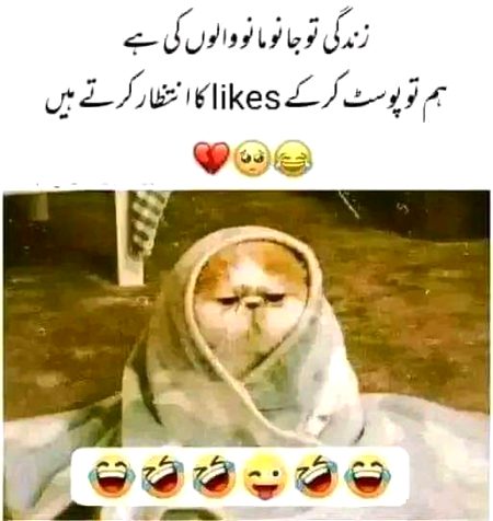 Memes & Satire image