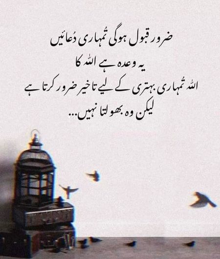 Motivational Quotes image