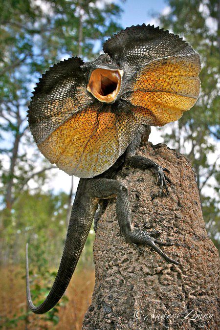 Beautiful Nature image