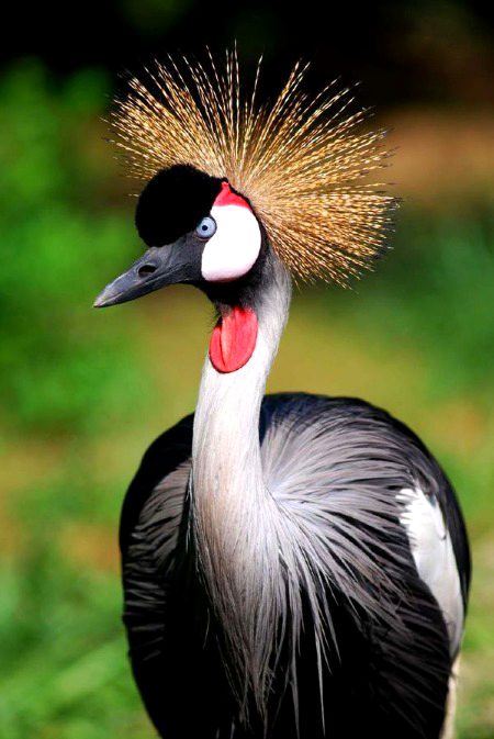 Beautiful Nature image