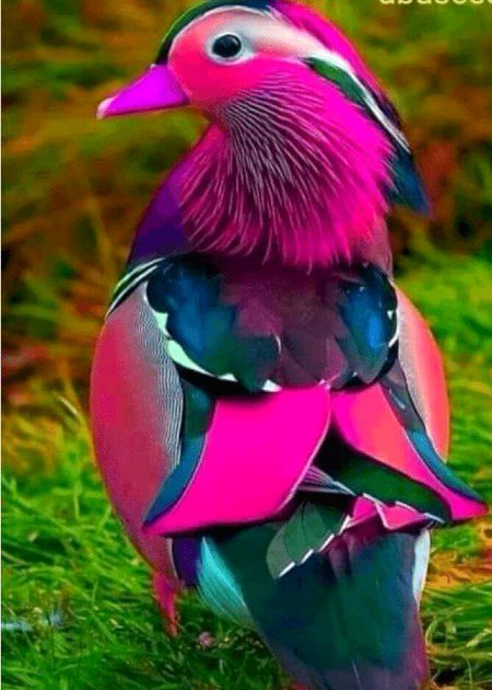Beautiful Nature image
