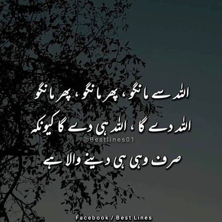 Islamic Quotes image