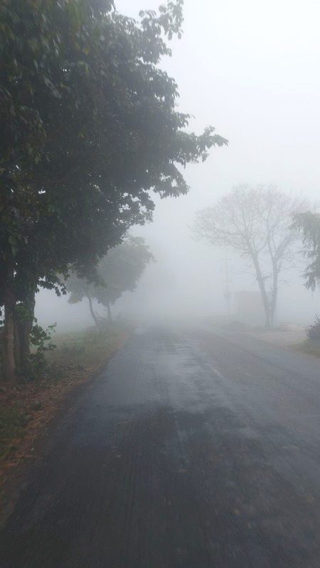 Beautiful Nature image