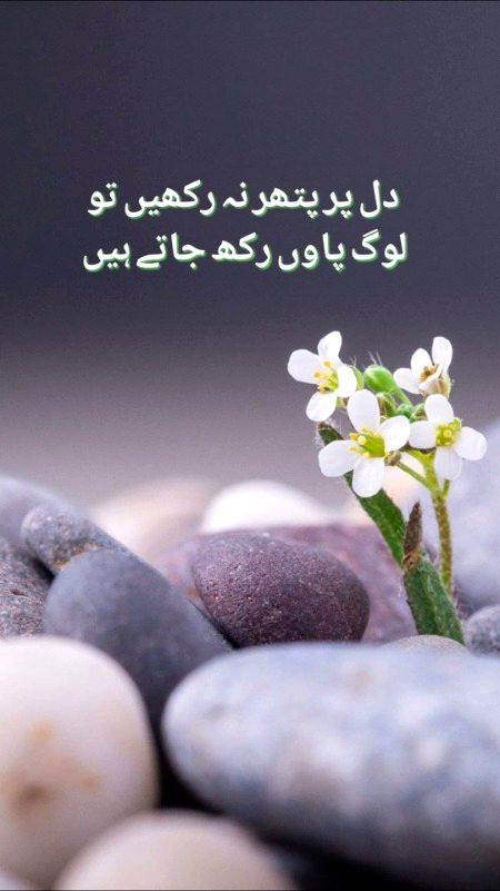 Attitude Quotes image