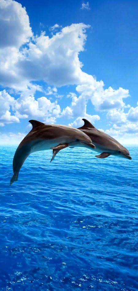 Beautiful Nature image