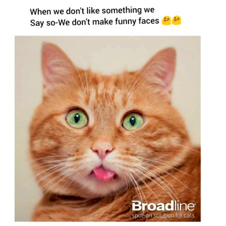 Social media post
