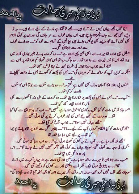 Romantic Novels image