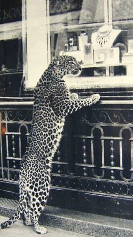 Beautiful Nature image