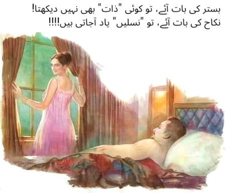 Memes & Satire image