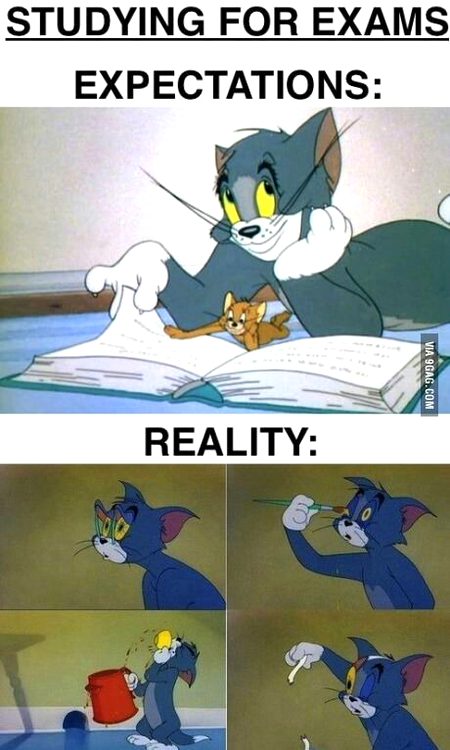 Memes & Satire image
