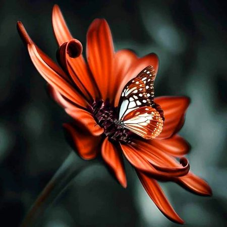 Beautiful Nature image