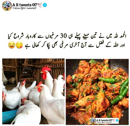 Memes & Satire image
