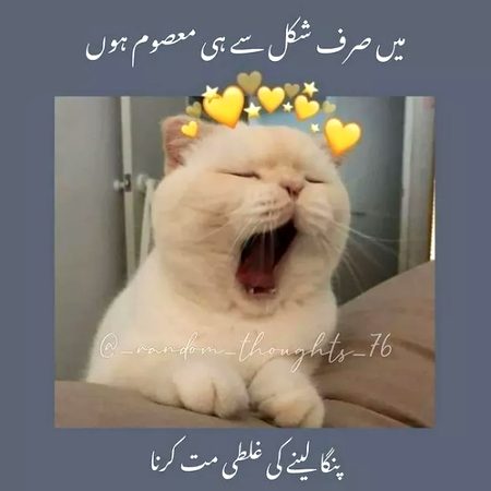 Social media post
