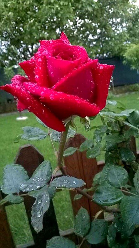 Beautiful Nature image