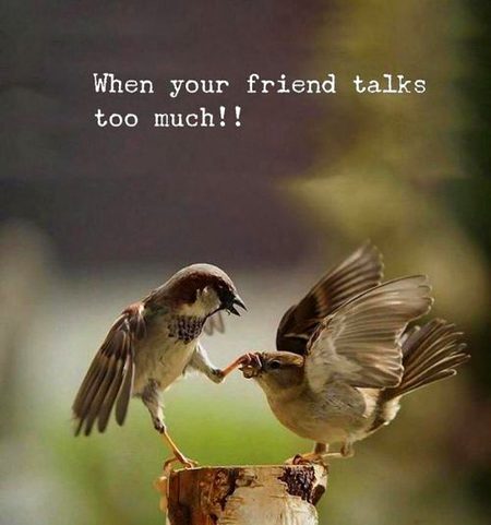 Jokes image