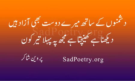 Sad Poetry image