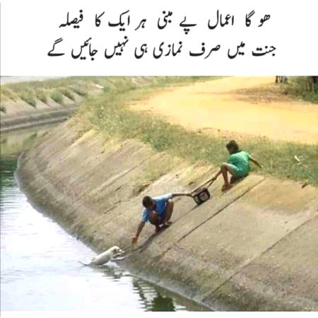 Islamic Quotes image