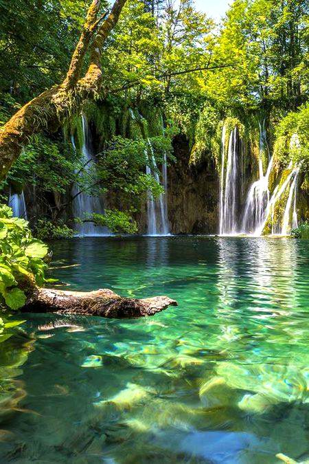 Beautiful Nature image