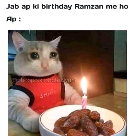 Memes & Satire image