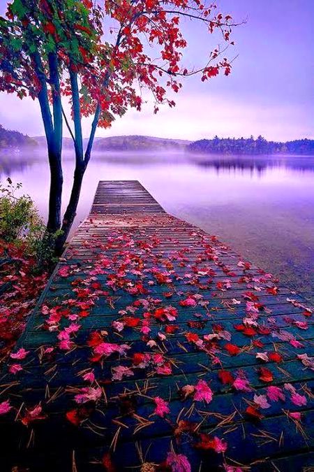 Beautiful Nature image