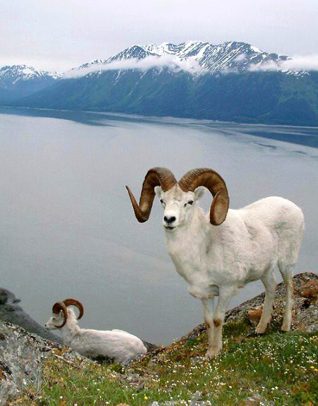 Beautiful Nature image