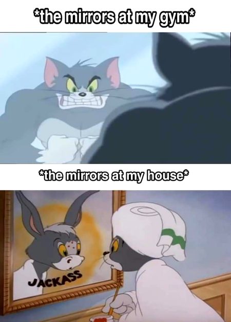 Memes & Satire image