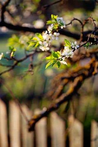 Beautiful Nature image