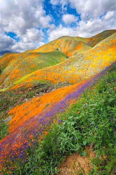 Beautiful Nature image