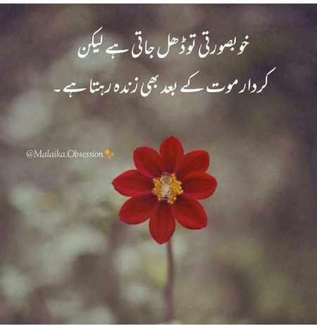 Social media post