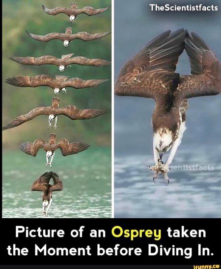 Interesting Posts image