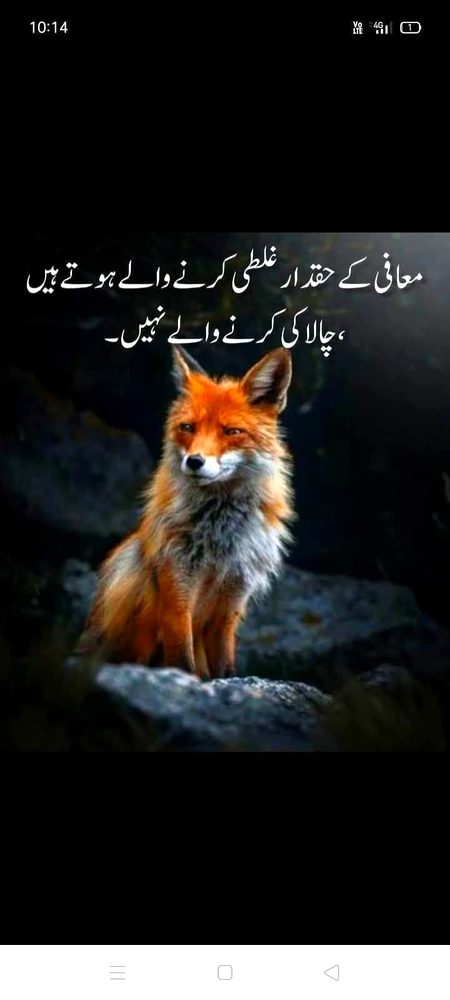 Life Advice image