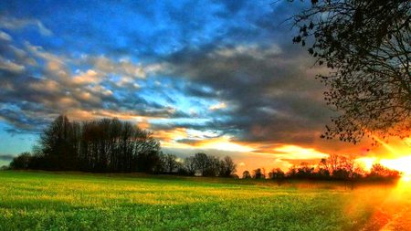 Beautiful Nature image