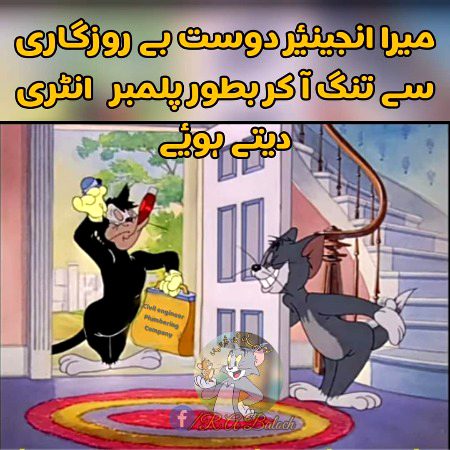 Memes & Satire image