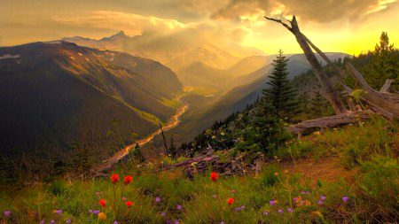 Beautiful Nature image