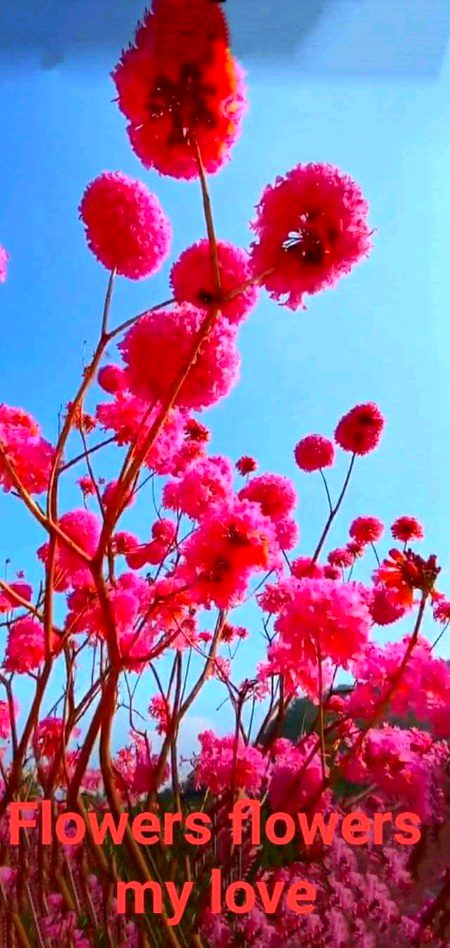 Beautiful Nature image