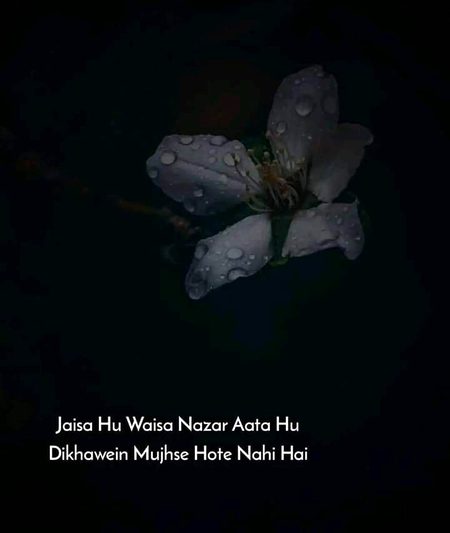 Attitude Quotes image
