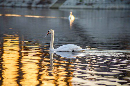 Beautiful Nature image