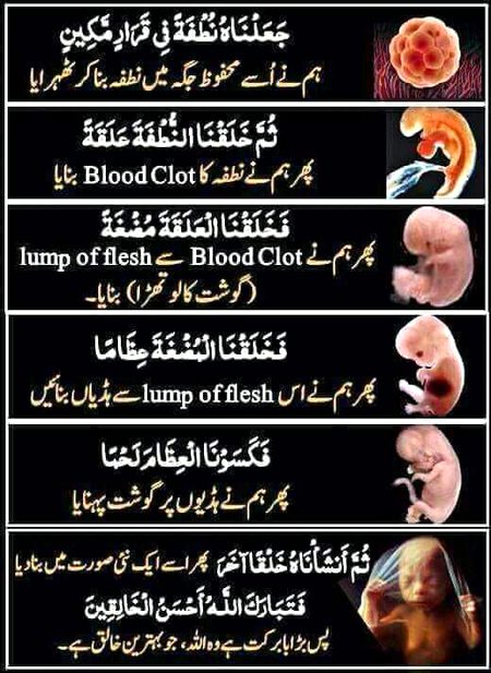 Islamic Quotes image