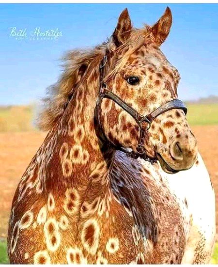 Beautiful Nature image