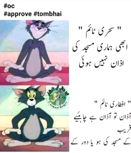 Memes & Satire image