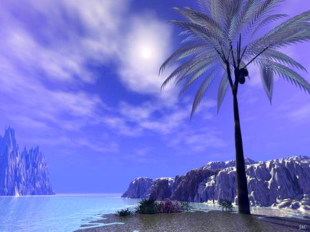 Beautiful Nature image