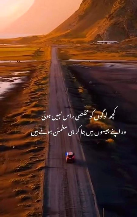 Attitude Quotes image