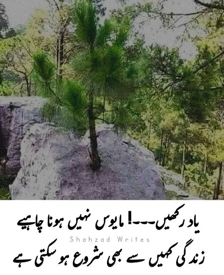 Social media post